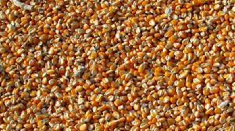 Situation alimentaire préoccupante en Afrique de l'Ouest: des stocks de céréales au plus bas Situation alimentaire préoccupante en Afrique de l'Ouest: des stocks de céréales au plus bas