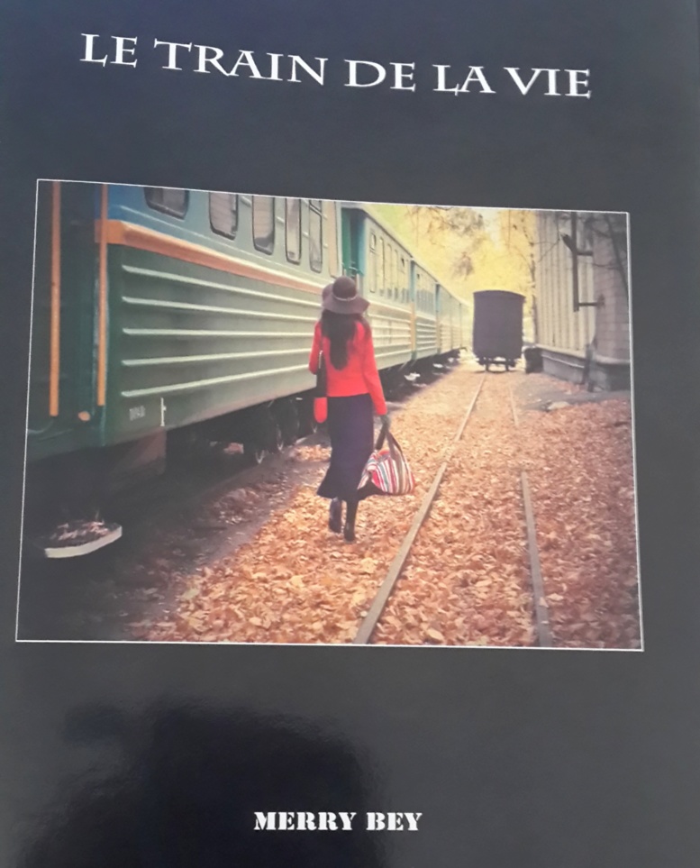 Merry Bey, championne du monde de Viet Vo Doa prend « le train de la vie »