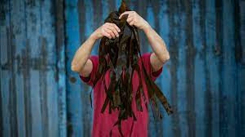 Les algues marines, une piste prometteuse pour la préservation de la planète Les algues marines, une piste prometteuse pour la préservation de la planète