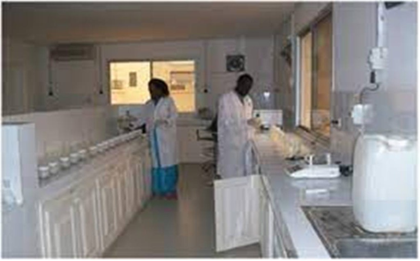 Institut national de pédologie : les travailleurs réclament le départ «immédiat et sans condition» du Directeur Institut national de pédologie : les travailleurs réclament le départ «immédiat et sans condition» du Directeur