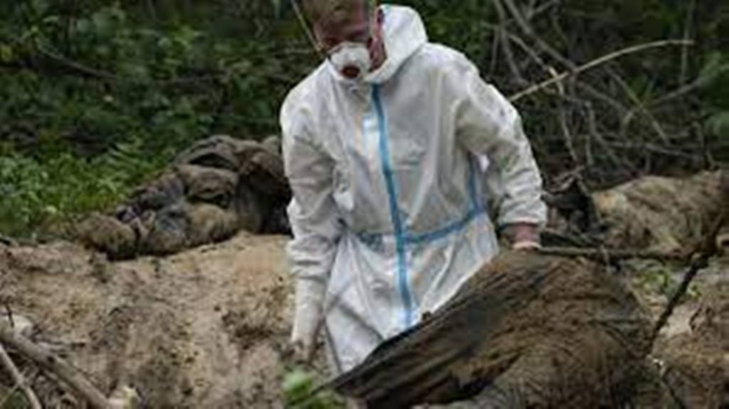 Crimes de guerre en Ukraine: où en est-on plus de trois mois après le début du conflit?