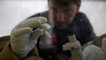Ebola: les chauves-souris suspectées d’être le «réservoir» du virus