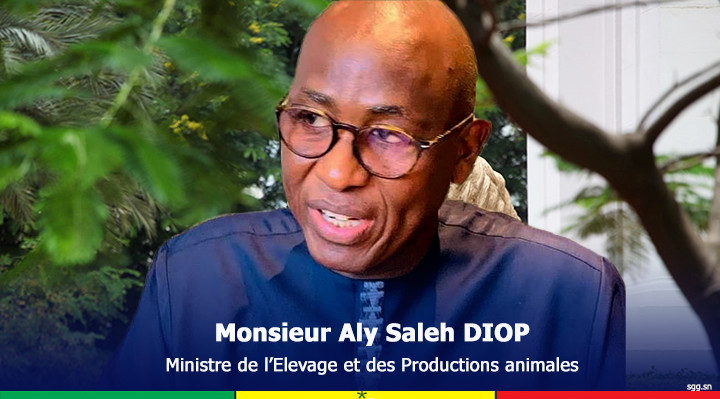 Tabaski 2022: en raison de l'embargo sur le Mali, le Sénégal se rabat sur la Mauritanie pour s'approvisionner en moutons