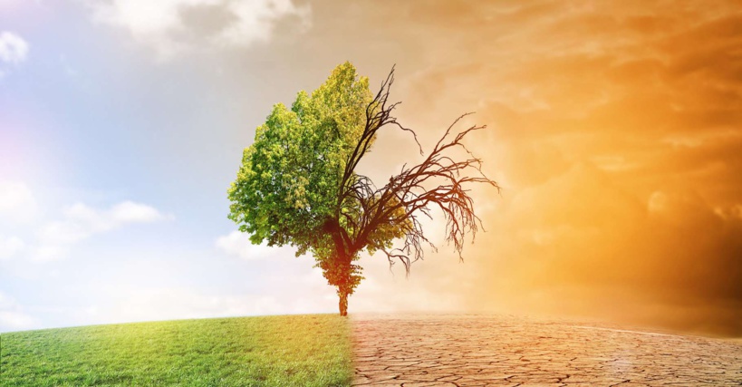 Signature d’une convention de 1,4 milliard FCFA pour lutter contre les changements climatiques Signature d’une convention de 1,4 milliard FCFA pour lutter contre les changements climatiques
