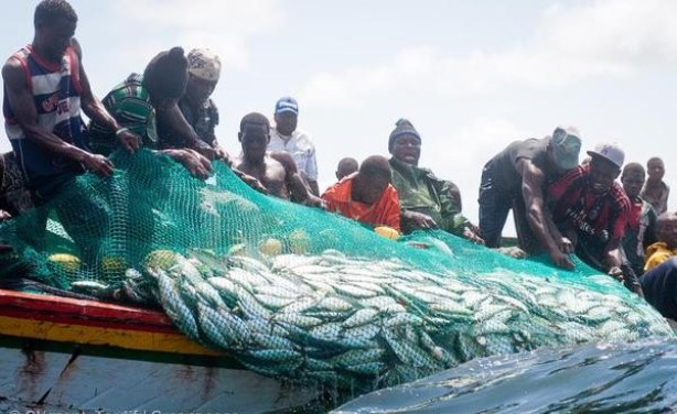La durabilité de la pêche au Sénégal est «très préoccupante », alerte l'ONU