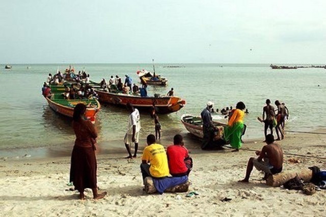 L’Afrique perd 20 milliards de dollars par an sur la pêche et l’exploitation forestière