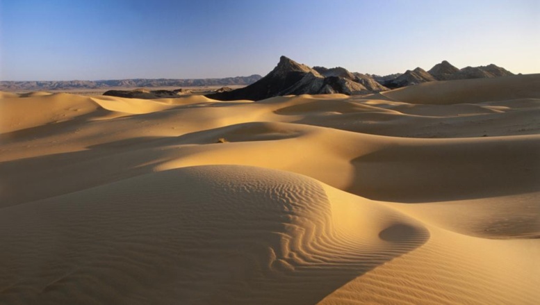 Des dizaines de candidats à l'immigration clandestine ont disparu dans le désert entre le Niger et l'Algérie. Getty Images/ Frans Lemmens