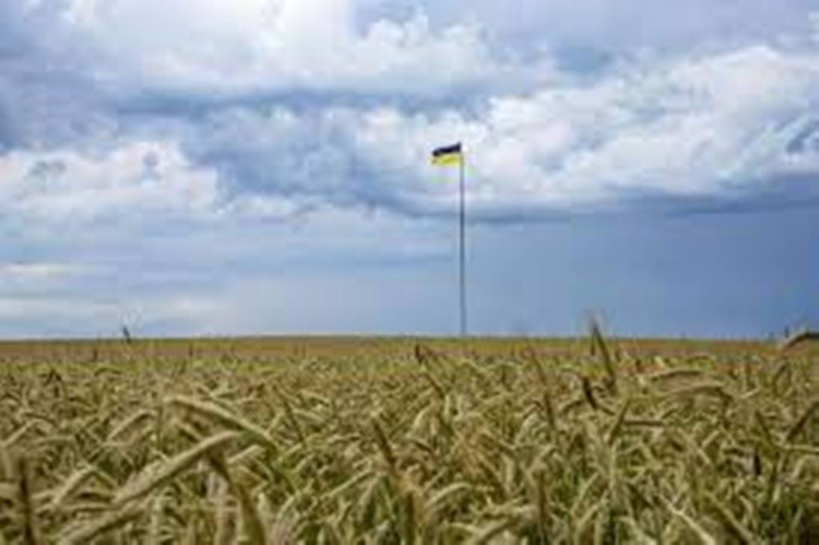 Céréales: l'Ukraine espère reprendre ses exportations «dès cette semaine» Céréales: l'Ukraine espère reprendre ses exportations «dès cette semaine»