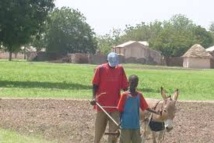 Locales : la faim, le principal adversaire du président Sall dans le monde rural, alerte le Forum civil 