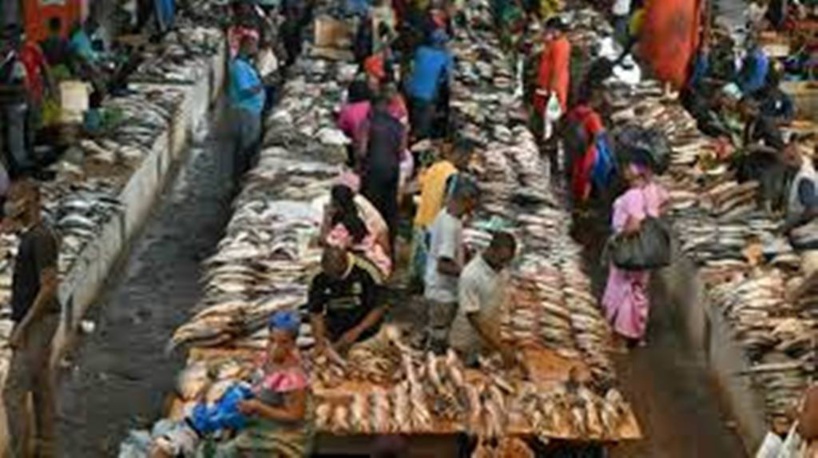 Côte d’Ivoire: le gouvernement veut booster l’industrie de la pêche Côte d’Ivoire: le gouvernement veut booster l’industrie de la pêche