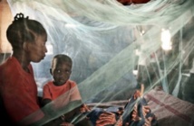 Paludisme : un vaccin qui bloque le parasite dans la cellule Paludisme : un vaccin qui bloque le parasite dans la cellule