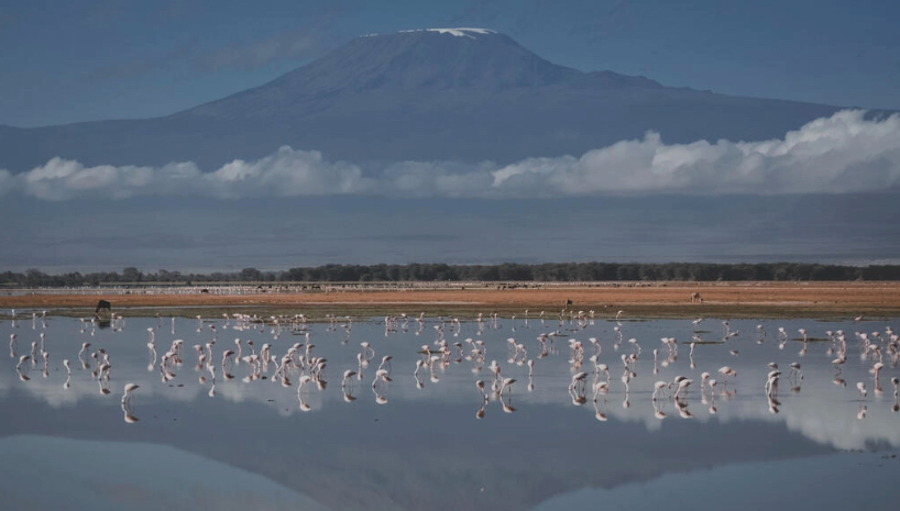 Internet: le Kilimandjaro en haut-débit