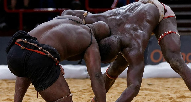 Bilan de la saison de lutte 2021-2022 : 31 millions de Fcfa défalqués aux lutteurs par le CNG