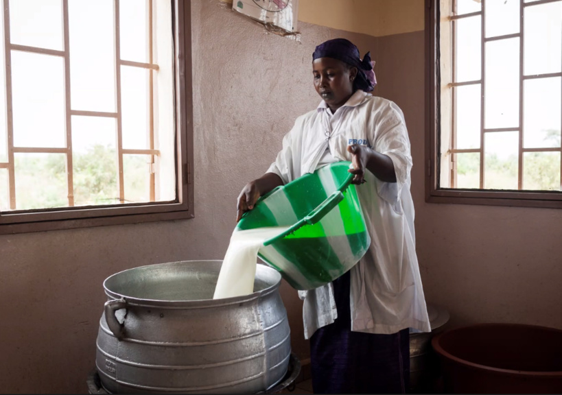 Fadi Wazni : « De nombreux pays africains investissent pour se doter localement de filières de transformation »