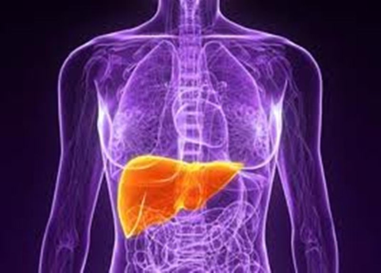 L’hépatite E fait des ravages à Kédougou : 19 morts dont 12 femmes enceintes L’hépatite E fait des ravages à Kédougou : 19 morts dont 12 femmes enceintes