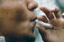 Commissariat de Dieuppeul : Un homme se présente avec ses joints, à la police pour être arrêté avant que le "Yamba" ne le tue Commissariat de Dieuppeul : Un homme se présente avec ses joints, à la police pour être arrêté avant que le "Yamba" ne le tue