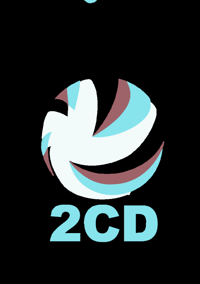 Le 2CD parle des «défis et enjeux de la fonctionnalité des nouveaux ordres de collectivités locales »