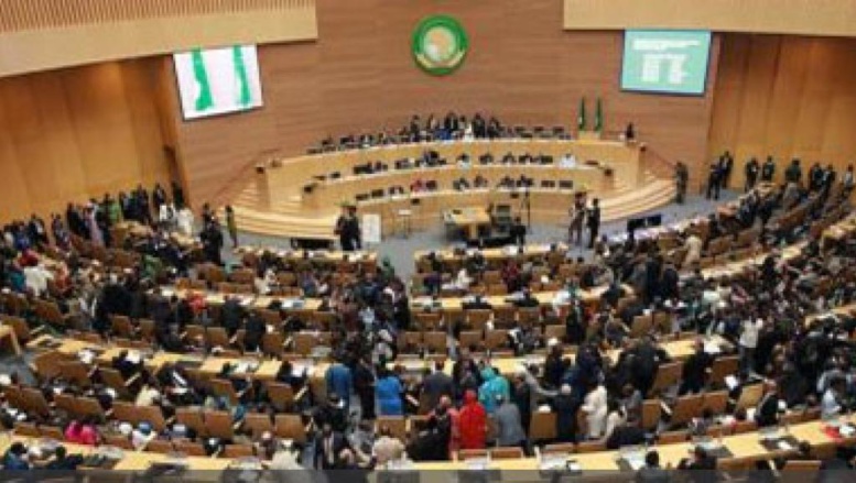 Ebola: l'action de l'Union africaine jugée très insuffisante