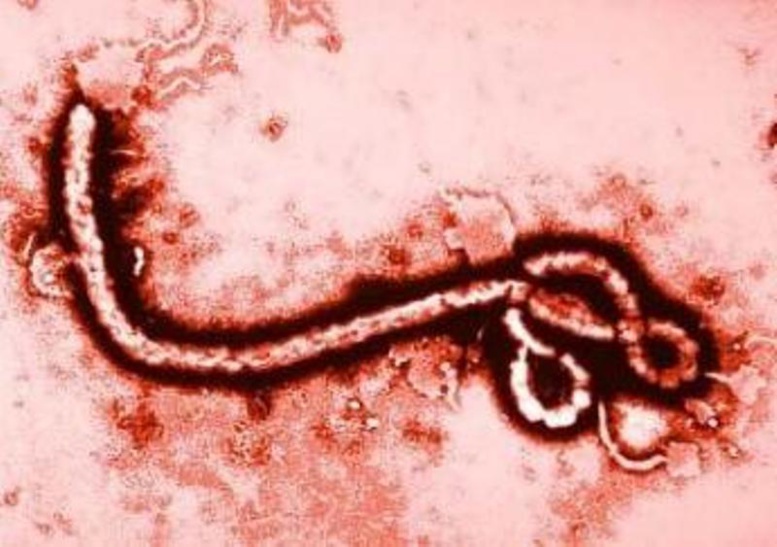 Ebola : Eva Marie Coll Seck face à la presse à 11 heures
