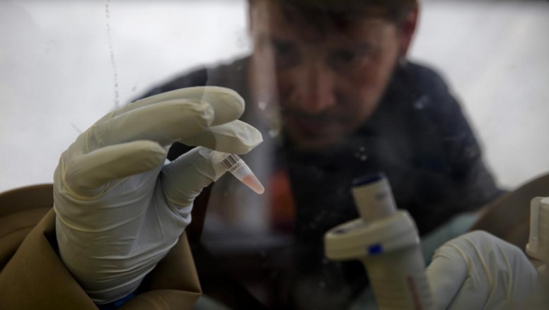 Un scientifique analyse des prélèvements de sang pour étudier le virus Ebola. REUTERS/Misha Hussain