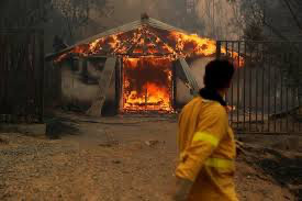 Chili: 23 morts dans des incendies de forêts, selon un nouveau bilan