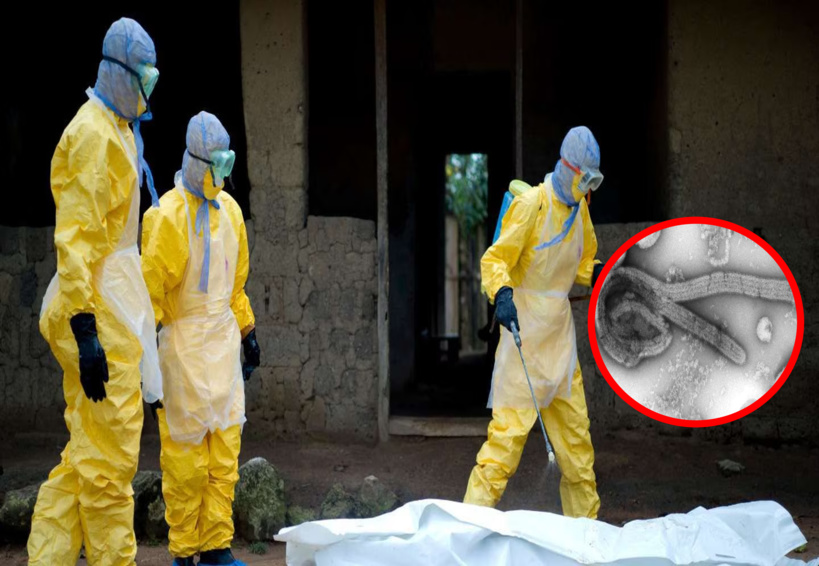 En Guinée équatoriale, de premiers cas mortels de fièvre hémorragique de Marburg