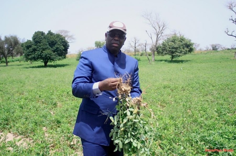 Séminaire BBY : Macky Sall confirme son penchant pour l'agriculture