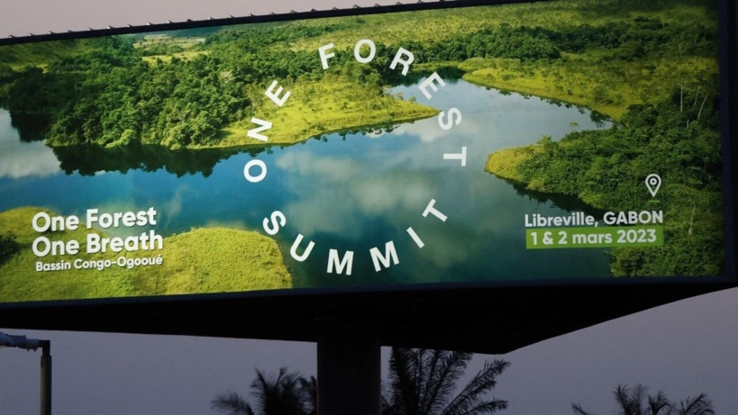 «One Forest Summit» au Gabon: protéger la forêt tropicale «One Forest Summit» au Gabon: protéger la forêt tropicale