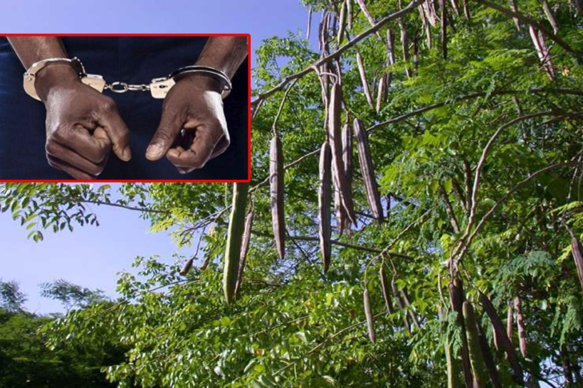 Du nouveau dans l'affaire du contrôleur des Impôts dépouillé de 34 millions F Cfa Du nouveau dans l'affaire du contrôleur des Impôts dépouillé de 34 millions F Cfa