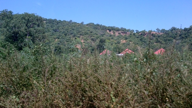 Domaine Agricole (DAC) d’Itato: l'autosuffisance alimentaire de Kédougou en vue