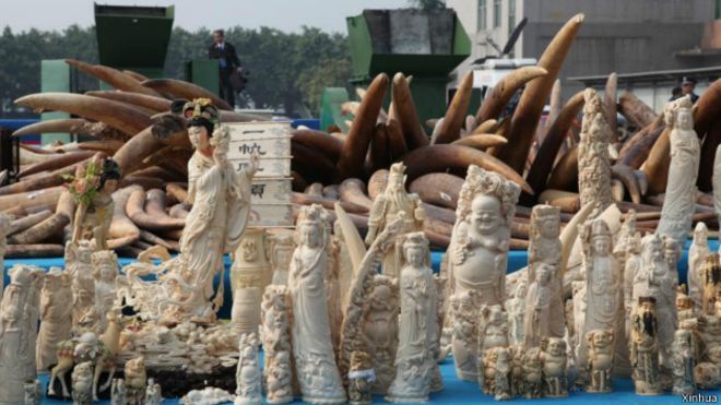 L'ivoire est utilisé pour la fabrication de sculptures traditionnelles