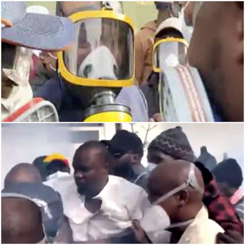 La substance inhalée par Sonko, la présence de cyanure dans le gaz lacrymogène: le Docteur Signaté parle La substance inhalée par Sonko, la présence de cyanure dans le gaz lacrymogène: le Docteur Signaté parle