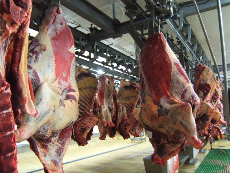 DPG- Elevage : Un abattoir moderne de 22 milliards prévu pour le pôle urbain de Diamniadio DPG- Elevage : Un abattoir moderne de 22 milliards prévu pour le pôle urbain de Diamniadio