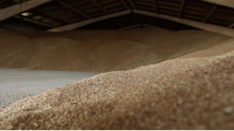 La Pologne veut aider ses agriculteurs affaiblis par le déferlement des céréales ukrainiennes La Pologne veut aider ses agriculteurs affaiblis par le déferlement des céréales ukrainiennes