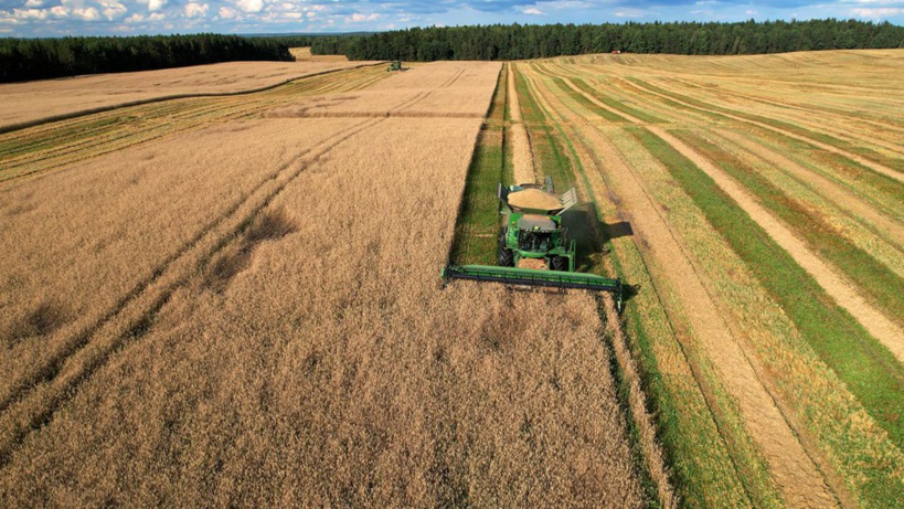 Production de blé : le rêve du Sénégal est en passe de se réaliser Production de blé : le rêve du Sénégal est en passe de se réaliser