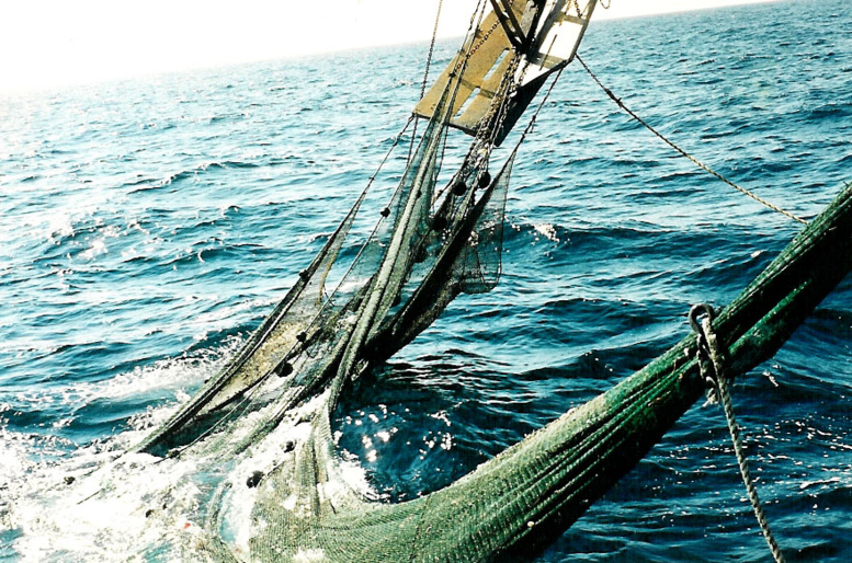 «Approche écosystèmique» du 9 au 12 décembre : Vers la mise en place de bases scientifiques pour une gestion durable «Approche écosystèmique» du 9 au 12 décembre : Vers la mise en place de bases scientifiques pour une gestion durable