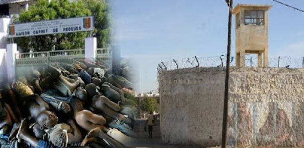 L’ONPL  confirme et dénonce des cas de "tortures" des manifestants et détenus au Sénégal