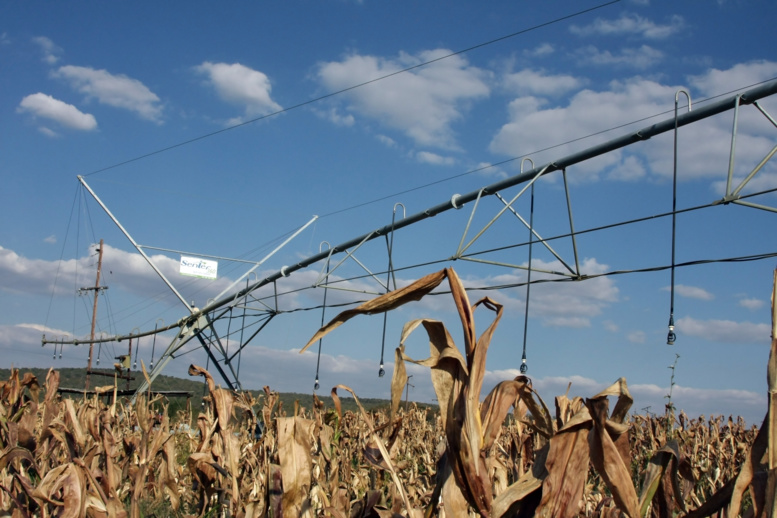Afrique - Climat : Un rendez-vous pour définir le rôle des pays du Sud face au changement climatique et formuler des solutions concrètes pour la COP21 de Paris ! Afrique - Climat : Un rendez-vous pour définir le rôle des pays du Sud face au changement climatique et formuler des solutions concrètes pour la COP21 de Paris !