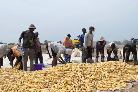 Rétro 2014 - Agriculture et crise Alimentaire : le faussé se creuse dans le monde rural