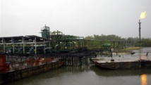 En 2008, des milliers de barils de pétrole du géant Shell s'étaient déversés dans le delta du Niger, dévastant l’écosystème. Archives AFP