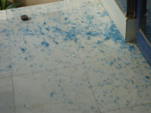 Procès Karim Wade : les partisans de Wade-fils mécontents dans la rue, la police contre-attaque Procès Karim Wade : les partisans de Wade-fils mécontents dans la rue, la police contre-attaque