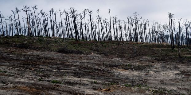 L'Europe s'est réchauffée d'environ 2,3 degrés depuis la période 1850-1900
