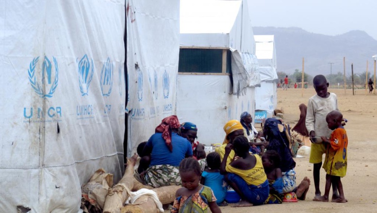 Boko Haram: au Tchad, les rescapés du Nigeria témoignent de l'horreur Boko Haram: au Tchad, les rescapés du Nigeria témoignent de l'horreur