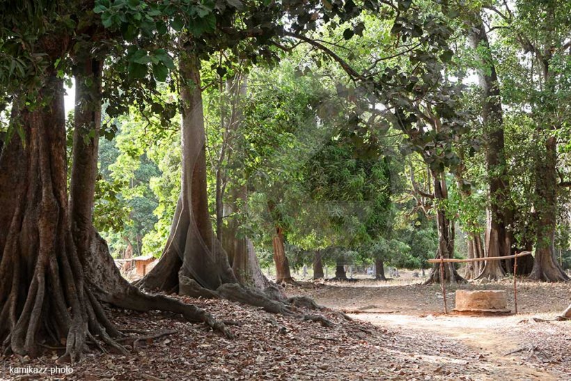 Casamance: enlevé depuis janvier, l'Asp Barthélémy Diatta retrouvé mort, son corps criblé de balles 