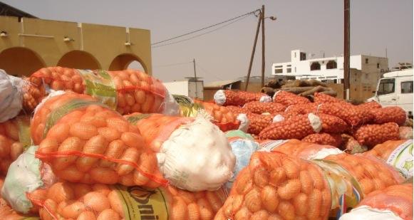 Des pommes de terre de très mauvaise qualité dans le marché sénégalais