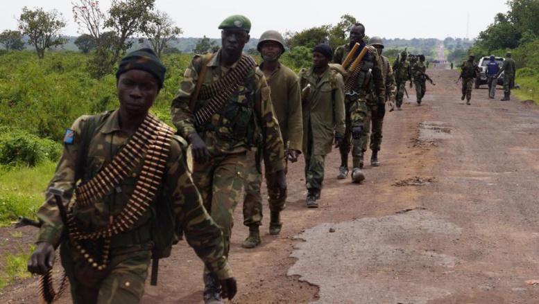 RDC: l'armée congolaise annonce partir seule «anéantir les FDLR»
