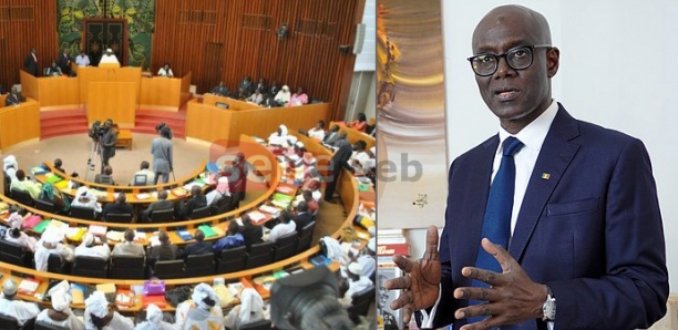 Assemblée nationale: Thierno Alassane Sall demande aux députés de saisir de la question de la participation de l’Armée sénégalaise dans une intervention au Niger