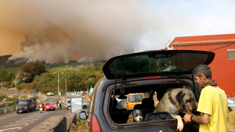 Canaries: les pompiers font face au brasier pour protéger les maisons de Tenerife
