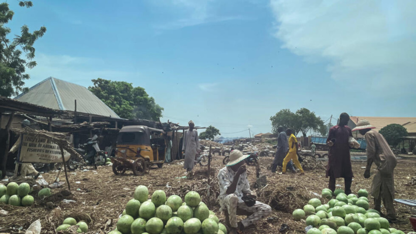 Niger: derrière la frontière fermée, côté Nigeria, convoyeurs et commerçants sont déstabilisés Niger: derrière la frontière fermée, côté Nigeria, convoyeurs et commerçants sont déstabilisés