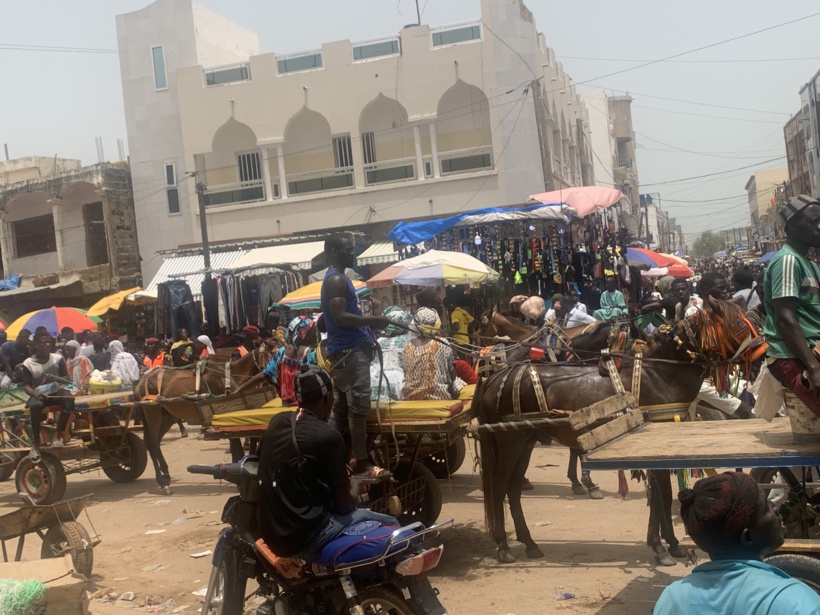 Touba, indispensables, les charrettes dictent leur loi Touba, indispensables, les charrettes dictent leur loi